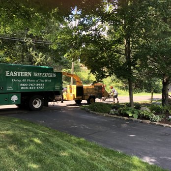 Eastern Tree Experts - Driveway entrance setup - Tree Services Near Me - Guilford, Connecticut