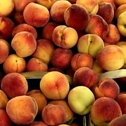 Farm Fresh Produce