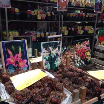 Grüne Woche - Time to plant something? - Trade Fairs Near Me - Berlin, BE
