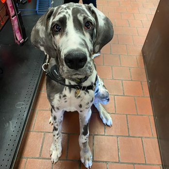 Mike's Feed Farm - Do you need to travel products for your pets? Mike's Feed Farm will deliver everything from food and supplements to treats, c... - Pet Stores Near Me - Riverdale, New Jersey