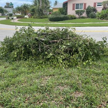 Spot Pond Tree Service - $550 for this. Total joke. Owner is a con man. - Tree Services Near Me - Deerfield Beach, Florida