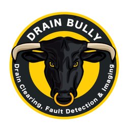 Drain Bully