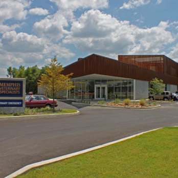 Memphis Veterinary Specialists - Veterinarians Near Me - Cordova, Tennessee