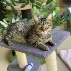 Fur BabyZ Pet Care - Barley