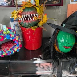 Cambridge Dental Care - Celebrate with us at Cambridge Dental Care! Dentist in O'fallon, IL.