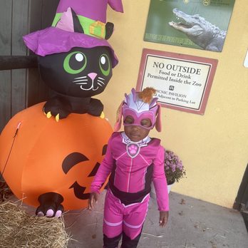 Gulf Breeze Zoo - Boo at the zoo 2023 at Gulf Breeze Zoo - Zoos Near Me - Gulf Breeze, Florida Gulf Breeze Zoo - Boo at the zoo 2023 at Gulf Breeze Zoo - Zoos Near Me - Gulf Breeze, Florida