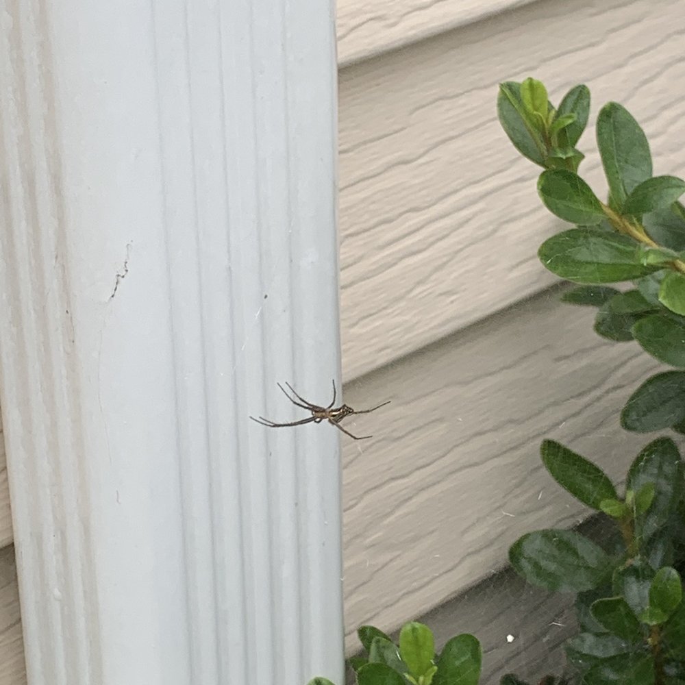 Aptive Pest Control - Pest Control Near Me - Princeton Junction, New Jersey Aptive Pest Control - Pest Control Near Me - Princeton Junction, New Jersey