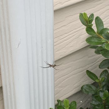 Aptive Pest Control - Pest Control Near Me - Princeton Junction, New Jersey