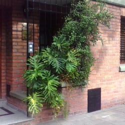 Dr Nicolás Plati. Dra Ceccareli