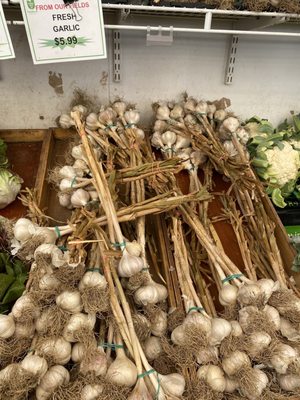 19th Avenue Farmer's Market by null