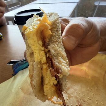 The Daily Bagel - Breakfast bagel - Bagels Near Me - San Diego, California The Daily Bagel - Breakfast bagel - Bagels Near Me - San Diego, California