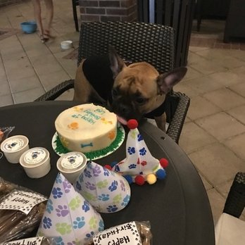 The Doggie Express - Levi.. Yum!!! - Pet Stores Near Me - Houston, Texas The Doggie Express - Levi.. Yum!!! - Pet Stores Near Me - Houston, Texas