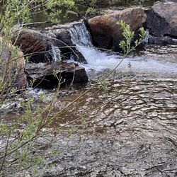 Rainbow Roundup Trout Ranch