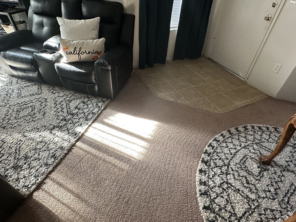 SAFARI CARPET CLEANING Updated August 2024 35 Photos & 15 Reviews