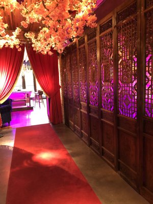 Mandrake Miami by null