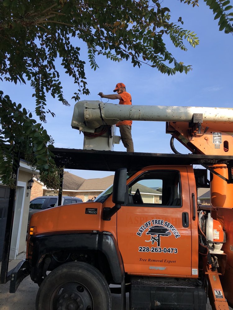 Ratliff Tree Service - tree service in Biloxi, MS