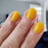 New York Pro Nail gift card