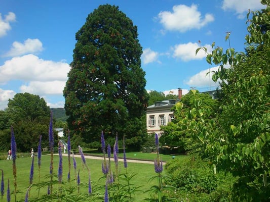 Schau- und Sichtungsgarten Hermannshof by null