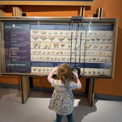 Peggy Notebaert Nature Museum
