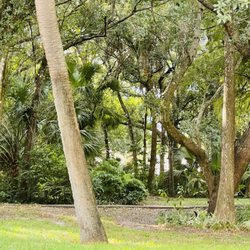 Cypress Preserve Conservation Park