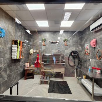 Hollywood Feed - Pet Stores Near Me - Fort Worth, Texas