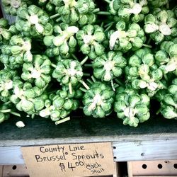 County Line Produce
