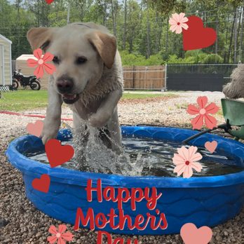 Preferred Pet Care - Pet Boarding Near Me - St. Augustine, Florida Preferred Pet Care - Pet Boarding Near Me - St. Augustine, Florida
