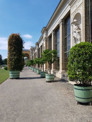 Orangerieschloss by null