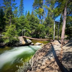 Swinging Bridge Trail - The swinging bridge!! This was one of my absolute FAVE trails in all of Yosemite!