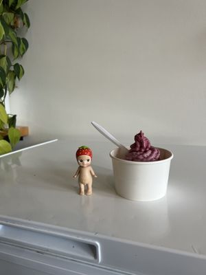 Nico's Ice Cream by null