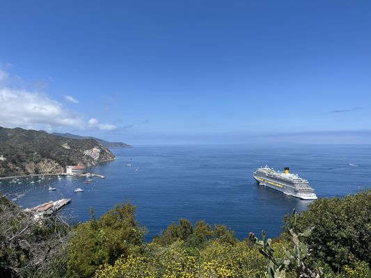 Catalina Island Conservancy Trailhead by null