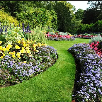Cardinal Landscape Management - Lawn Mowing - Lawn Services Near Me Cardinal Landscape Management - Lawn Mowing - Lawn Services Near Me
