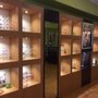 Photo of Optical Shop