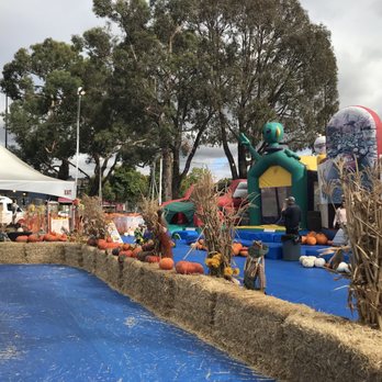 ABC Tree Farms - Pumpkin Patches Near Me - San Lorenzo, California ABC Tree Farms - Pumpkin Patches Near Me - San Lorenzo, California