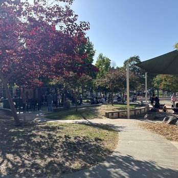 Burton Park - Large playground - Parks Near Me - San Carlos, California Burton Park - Large playground - Parks Near Me - San Carlos, California