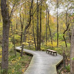 Meadowood Special Recreation Management Area - South Branch Loop Trail boardwalk