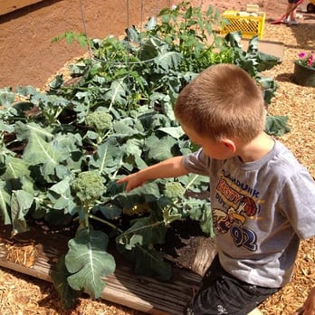 Happy Time Day Care Center - Growing gardens - Child Care & Day Care Near Me - Duluth, Minnesota Happy Time Day Care Center - Growing gardens - Child Care & Day Care Near Me - Duluth, Minnesota