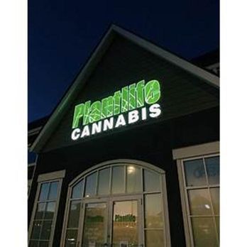 Plantlife - Cannabis Dispensaries Near Me - Calgary, Alberta Plantlife - Cannabis Dispensaries Near Me - Calgary, Alberta