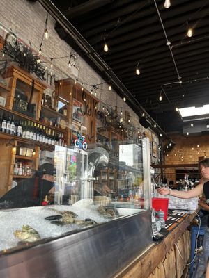 Sea Wolf Brooklyn by null