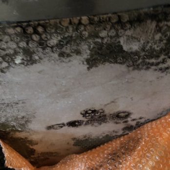 Hydradry - Wrapped wet furniture - Damage Restoration Near Me - Apopka, Florida Hydradry - Wrapped wet furniture - Damage Restoration Near Me - Apopka, Florida