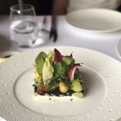 Bellevue - Avocado, melon, goat cheese salad.