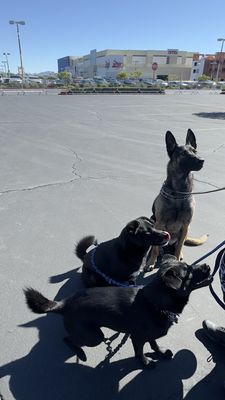 Make-A-Wish Nevada by null