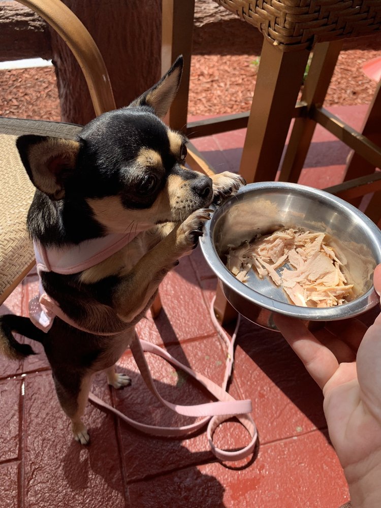 JOSEPH’S RESTAURANT 24 Photos & 31 Reviews 1546 Main Ave, Peckville