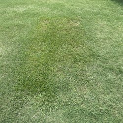 Laurel Land Funeral Home - Ft Worth - After- Mother's empty spot.