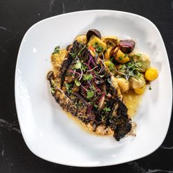 Maples Bar & Bistro - Grilled Barramundi