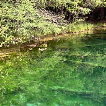 Kitch-iti-Kipi - Lakes Near Me - Manistique, Michigan