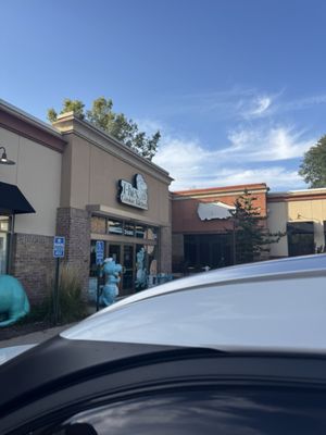 T-Rex Cookie Company by null