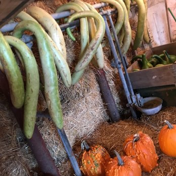 Emsley Farm - Pumpkin Patches Near Me - Waukesha, Wisconsin