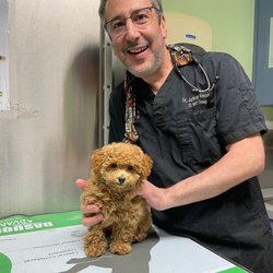 Staten Island Veterinary Group