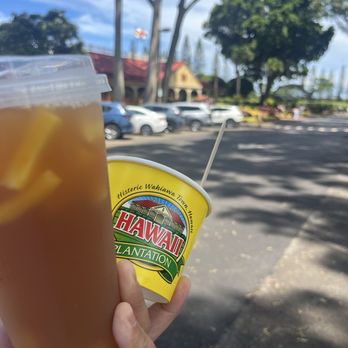 Dole Plantation - Tours Near Me - Wahiawa, Hawaii
